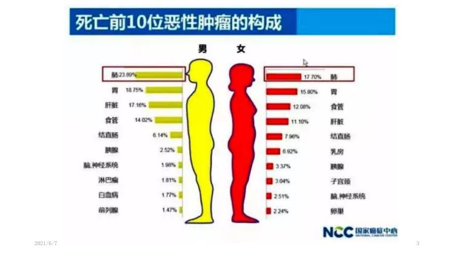 国家癌症中心发布最新数据.pptx_第3页