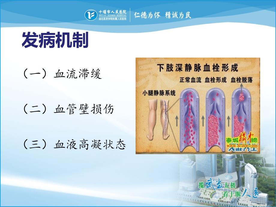 下肢深静脉血栓的护理PPT课件.ppt_第3页