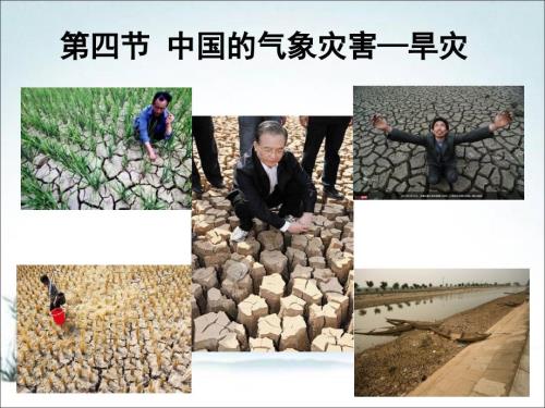 中国的气象灾害旱灾.ppt