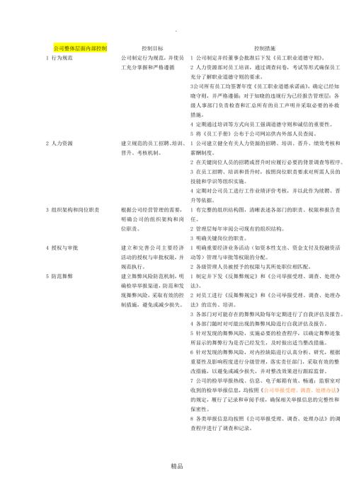 企业内部控制整体层面和各项循环关键控制点汇总.doc