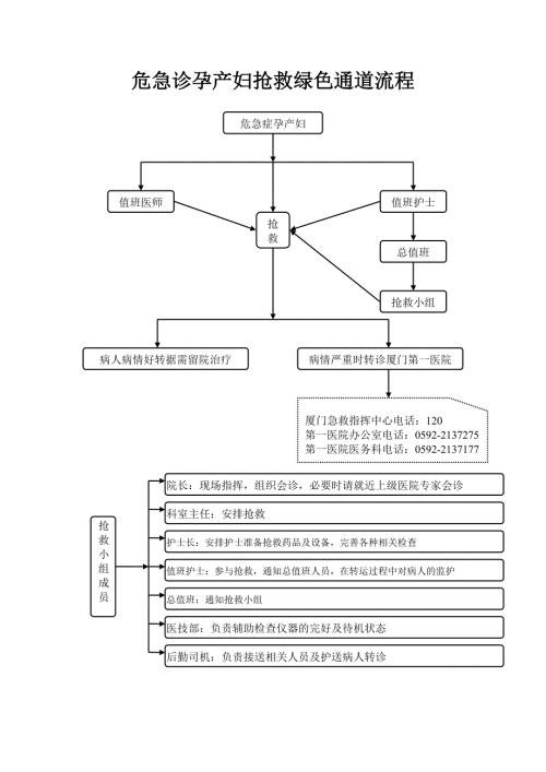 危急诊孕产妇抢救绿色通道流程.doc