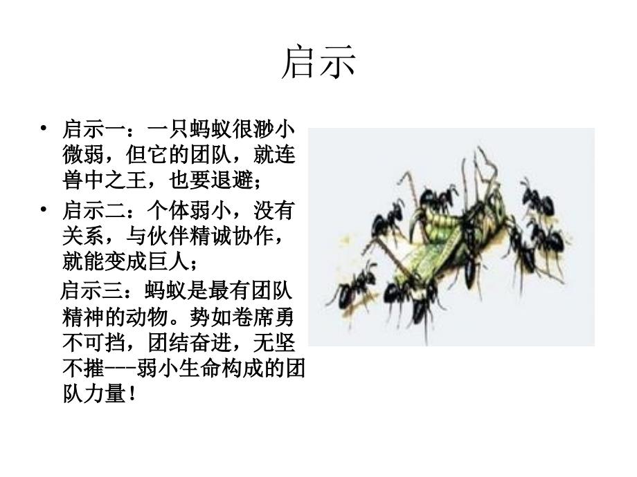 团队精神PPT课件.ppt_第3页