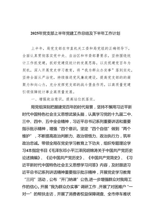 2025年党支部上半年党建工作总结及下半年工作计划10篇（详细版）.docx