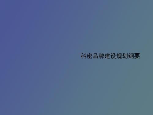 品牌建设纲要.ppt