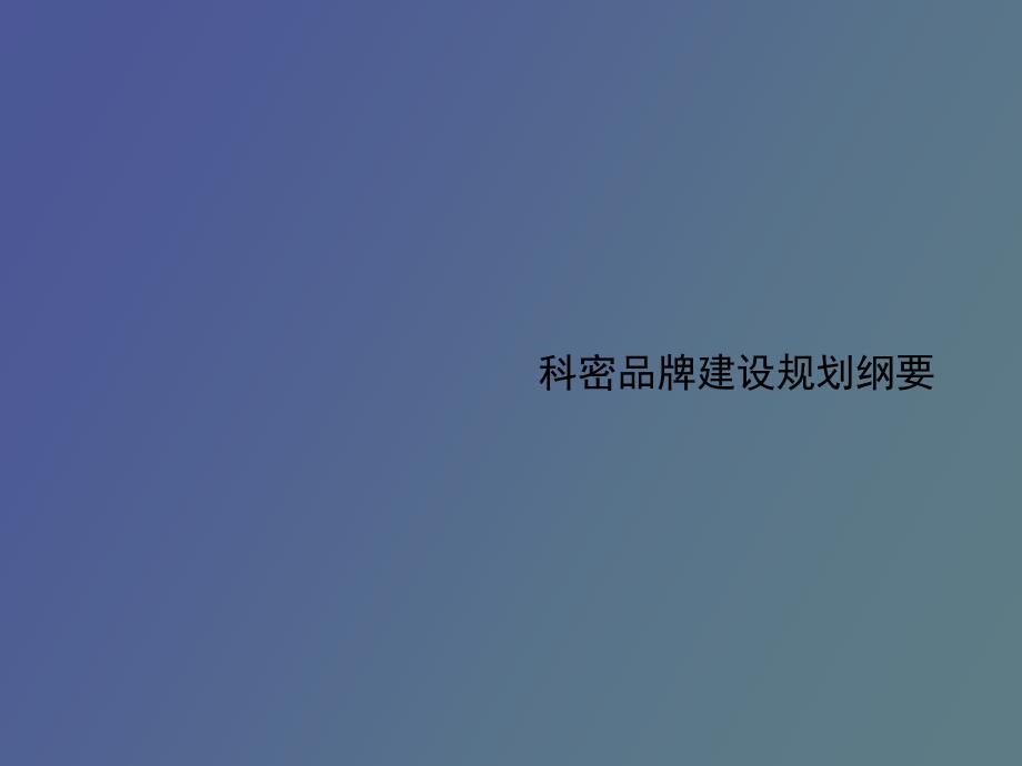 品牌建设纲要.ppt_第1页