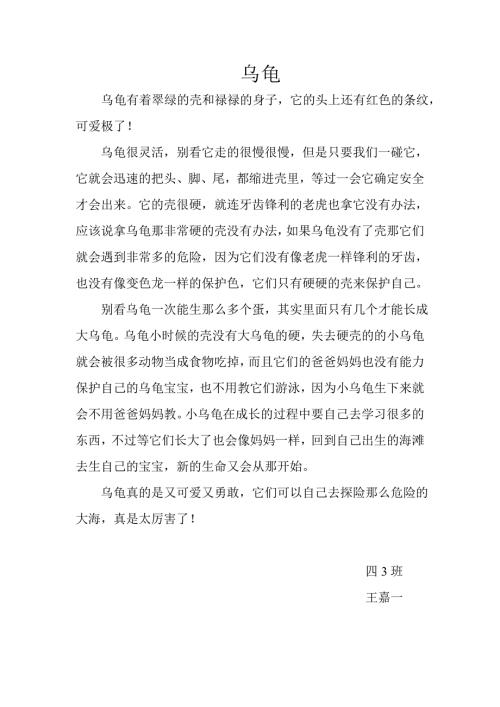乌龟四3班王嘉一.doc