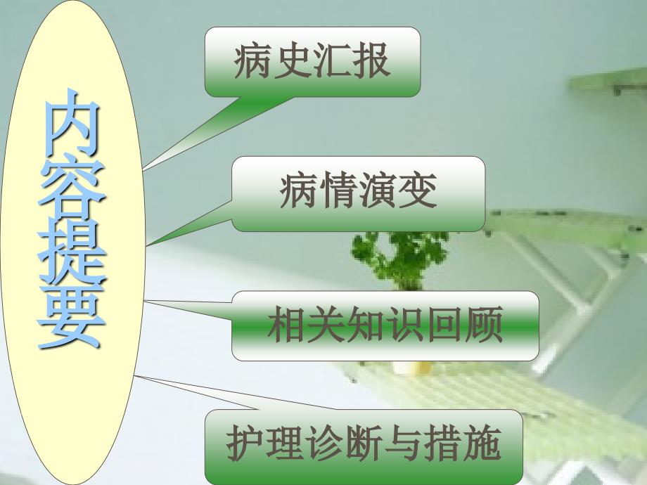 先天性心脏病护理查房.ppt_第2页