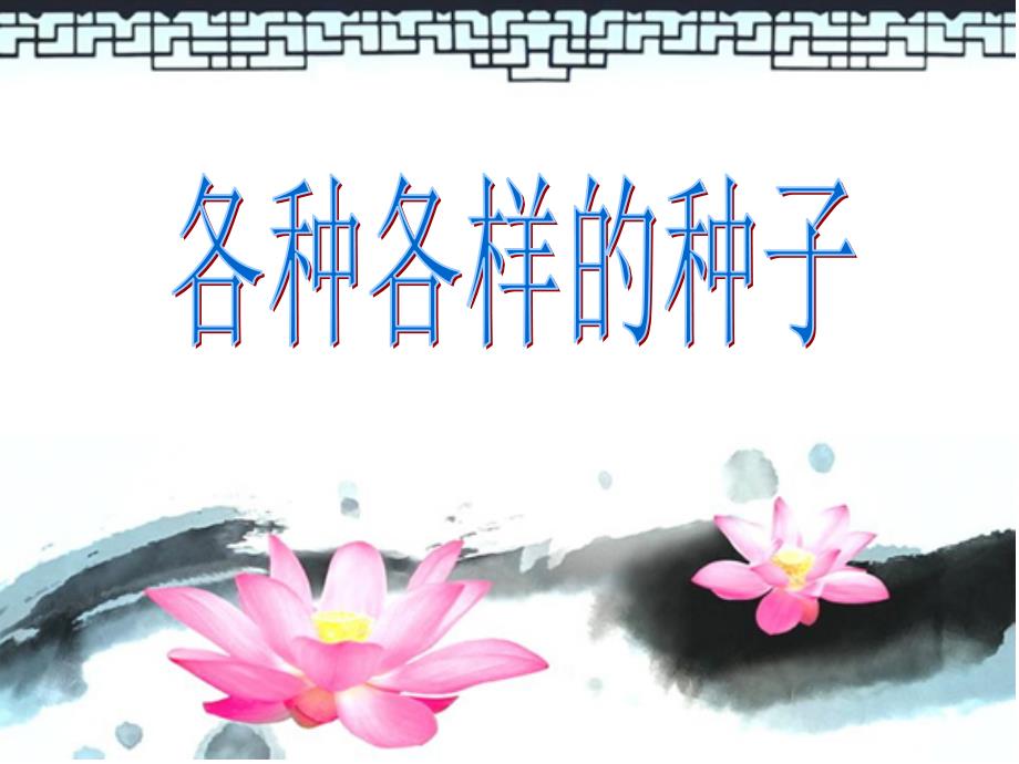 各种各样的种子PPT课件.ppt_第1页