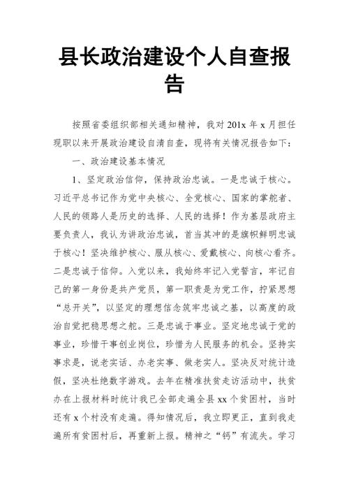 县长政治建设个人自查报告.doc