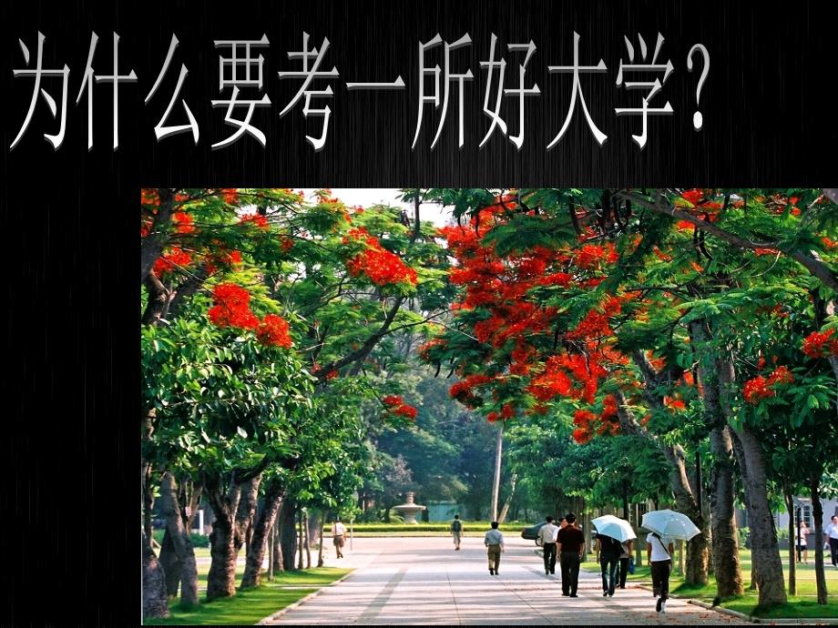 厦门大学介绍展示PPTpresentation宣传.ppt_第2页