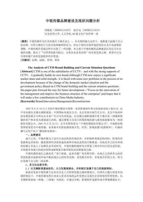 中视传媒品牌建设及现状问题分析.doc