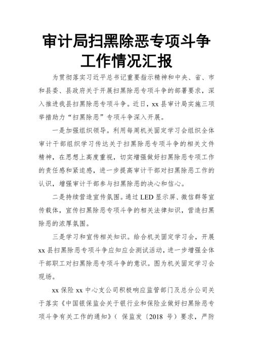 审计局扫黑除恶专项斗争工作情况汇报.doc