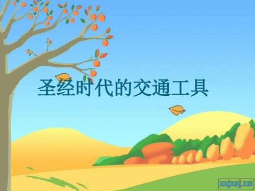 圣经时代的交通工具.ppt