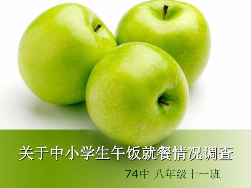 关于中小学生午饭就餐情况调查.ppt