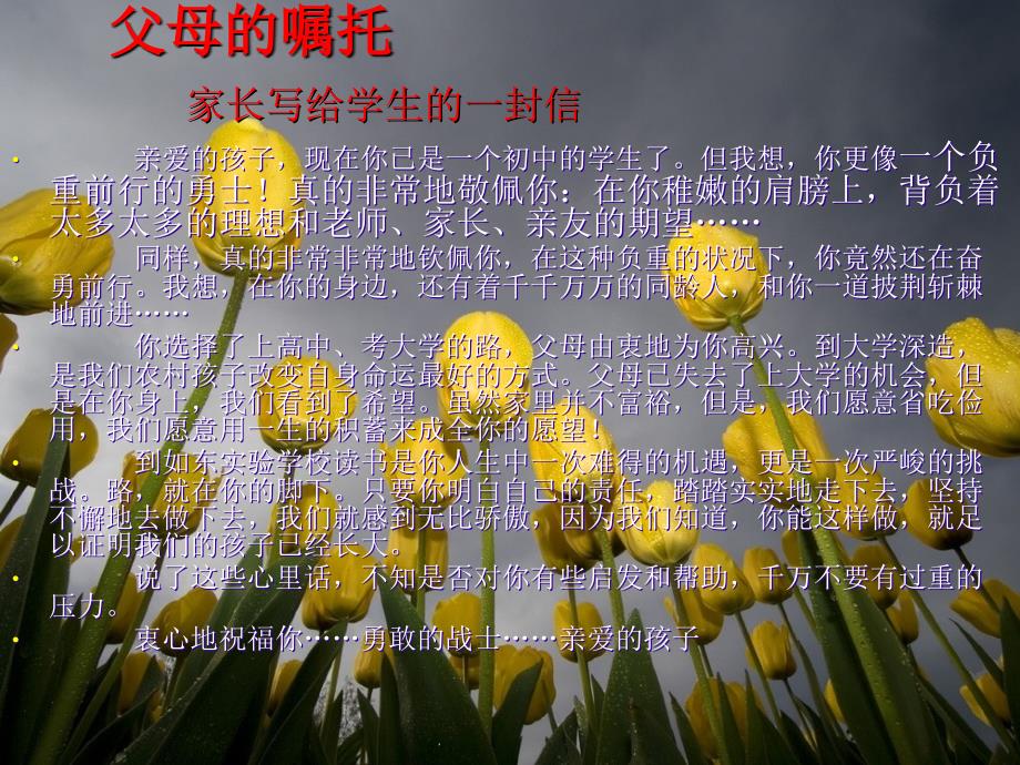 主题班会期中后学习动员.ppt_第3页