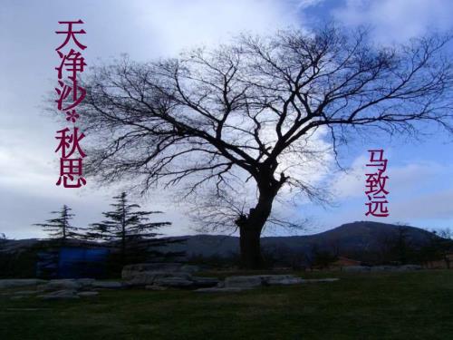 天净沙思课件共13张PPT.ppt