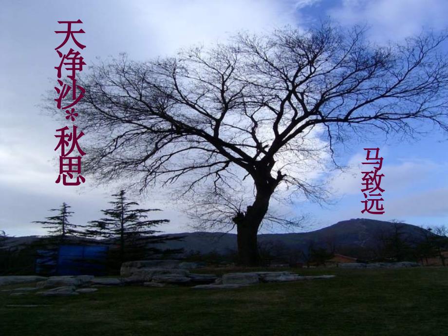 天净沙思课件共13张PPT.ppt_第1页