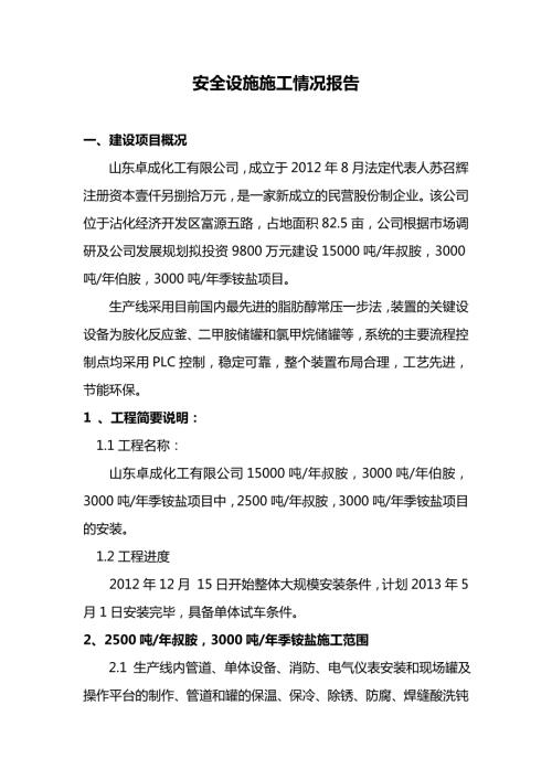 安全设施施工情况报告范本.doc