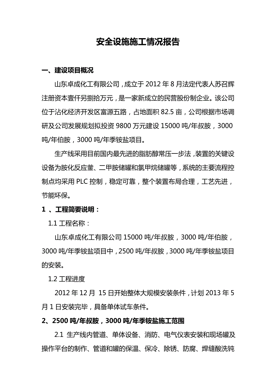 安全设施施工情况报告范本.doc_第1页