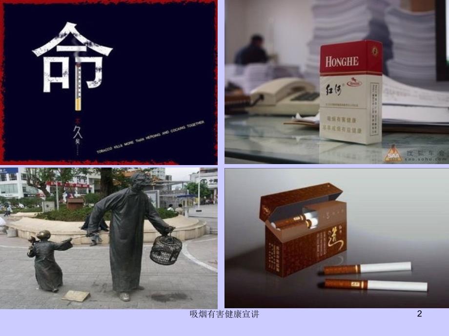 吸烟有害健康宣讲培训ppt课件.ppt_第2页