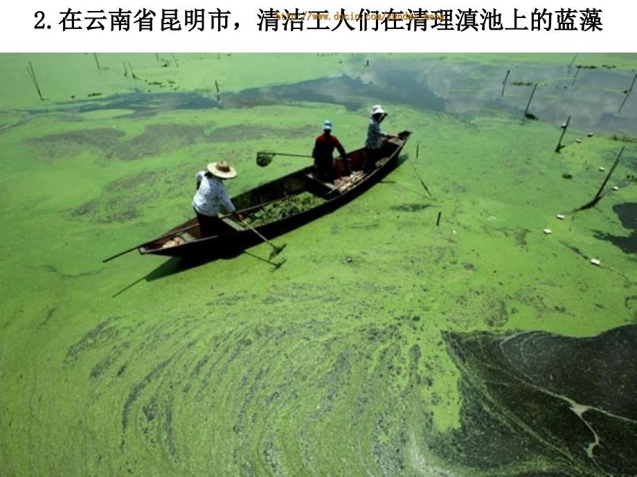 保护环境主题班会课件PPT.ppt_第3页