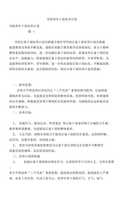 学校青年干部培养计划范本.docx