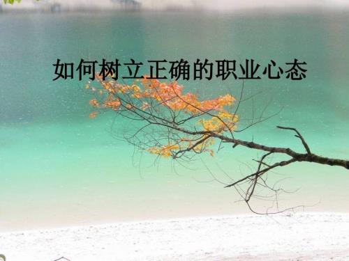 坚持服从与顶撞上司.ppt