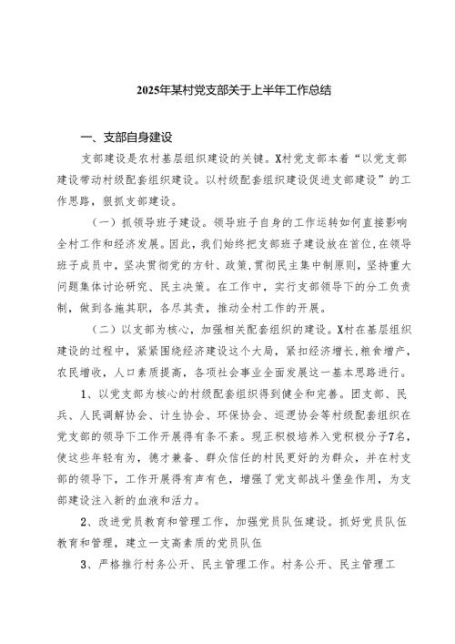 5篇 2025年某村党支部关于上半年工作总结精选汇编.docx