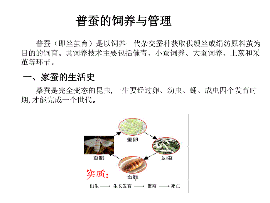 农村实用养蚕技术PPT课件.ppt_第3页