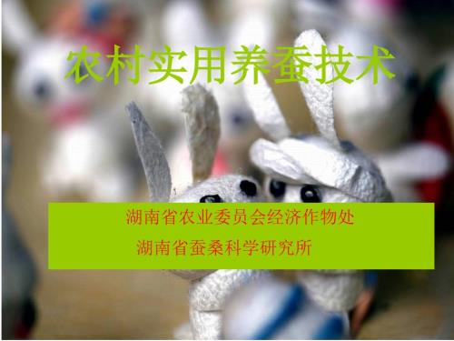 农村实用养蚕技术PPT课件.ppt