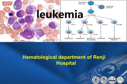 内科学英文课件HematologicaldepartmentofRenjiHospital.ppt