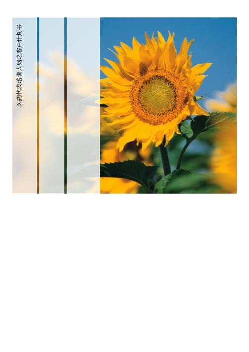 医药代表客户计划书.docx