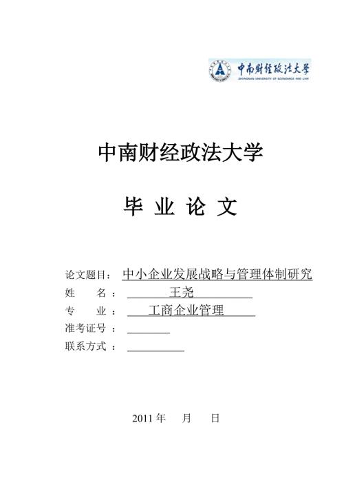 中小企业发展战略与管理体制研究论文.doc