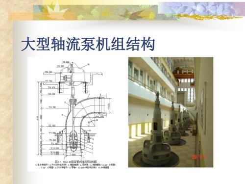 大型轴流水泵教学课件PPT.ppt