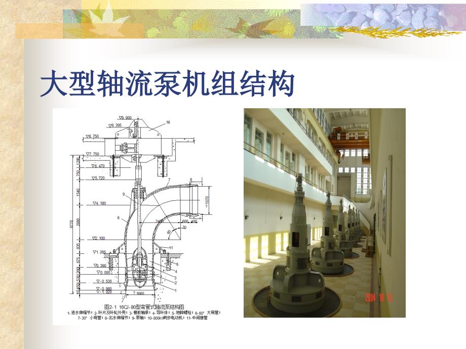 大型轴流水泵教学课件PPT.ppt_第1页