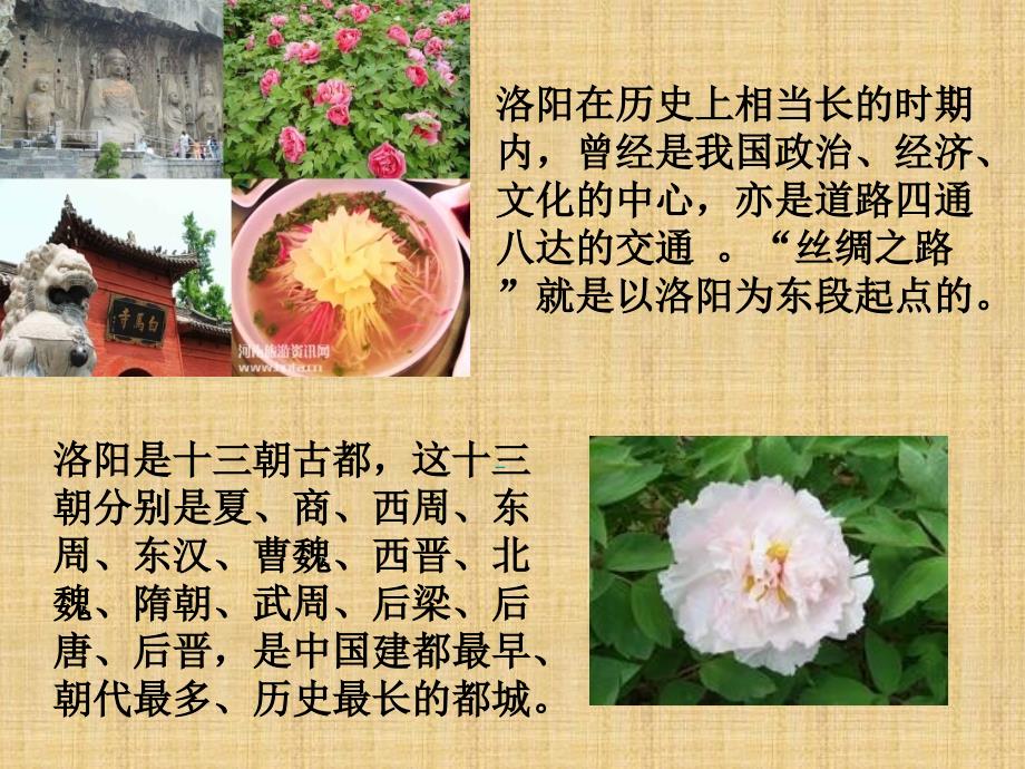 介绍洛阳的PPT课件.ppt_第3页