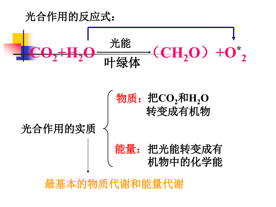 光合作用和呼吸作用专题复习.ppt_第3页