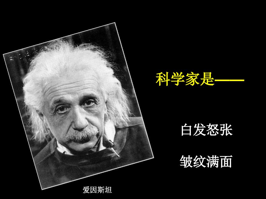 中职科学是美丽的课件.ppt_第2页