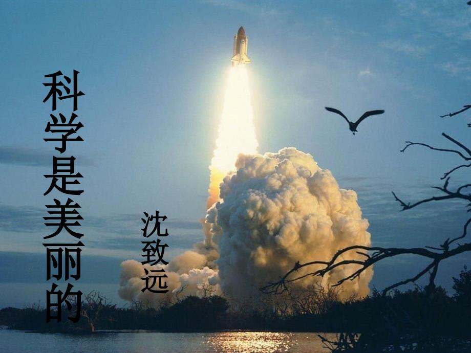 中职科学是美丽的课件.ppt_第3页
