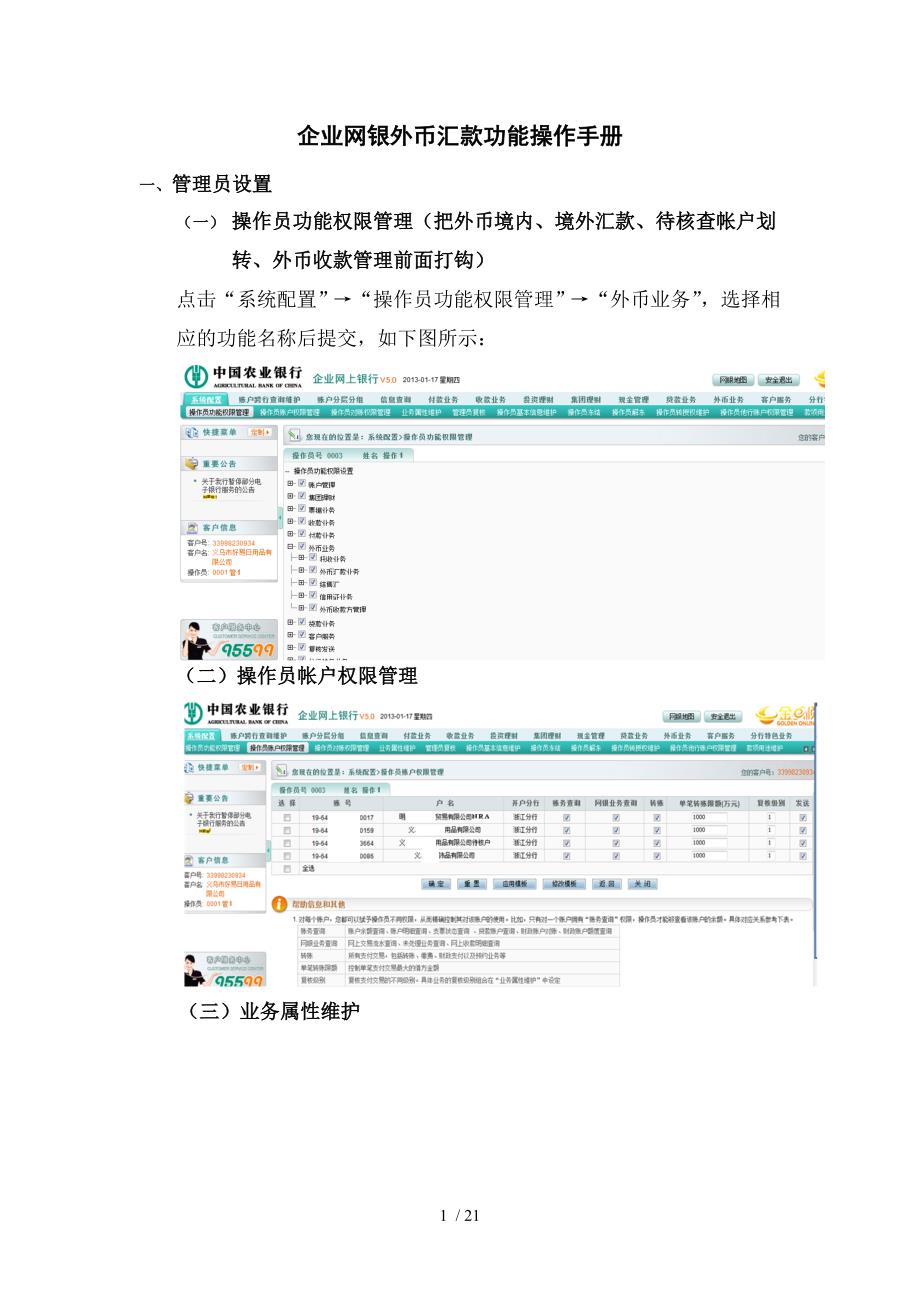 农行企业网银外币汇款功能客户端操作手册汇总.doc_第1页