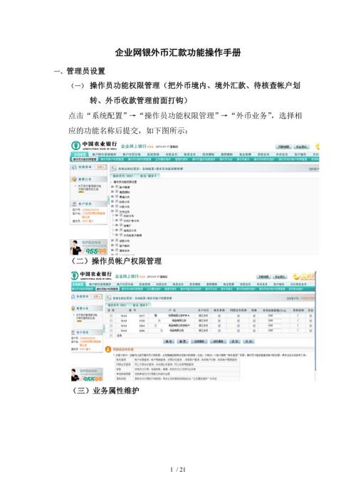 农行企业网银外币汇款功能客户端操作手册汇总.doc