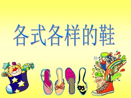 各式各样的鞋PPT课件.ppt
