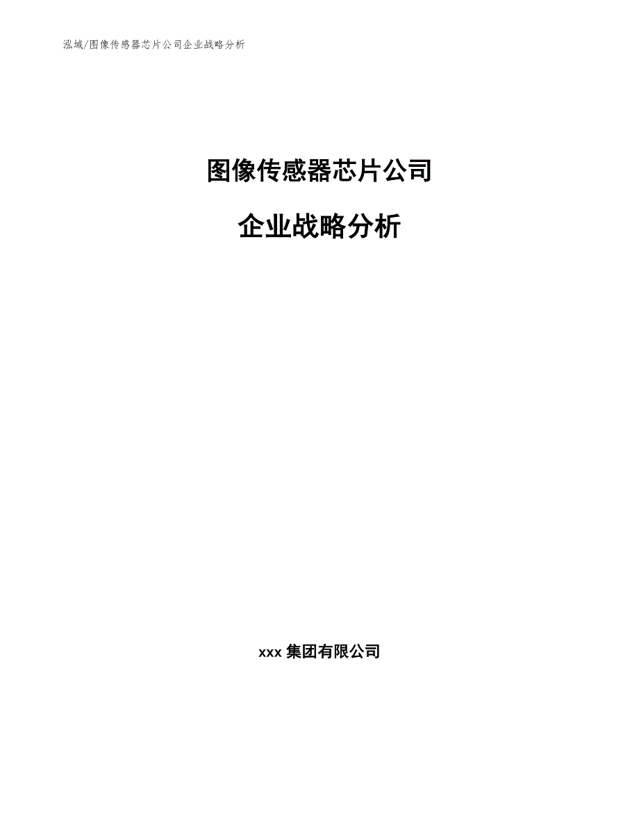 图像传感器芯片公司企业战略分析参考.docx_第1页