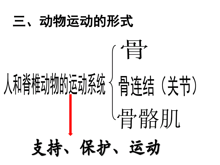 北师大版生物八年级上册第5单元第15章复习课课件20张ppt.pptx_第3页