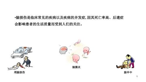 优质医学中枢神经特异性蛋白.ppt