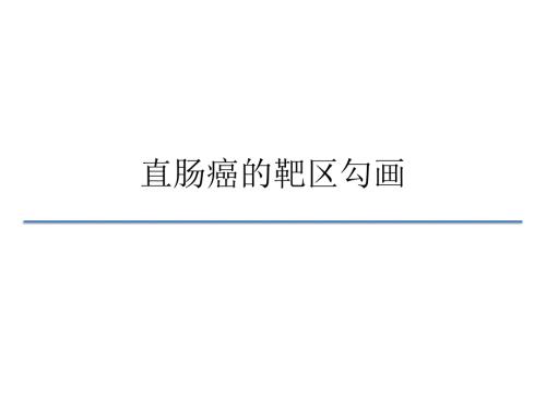 中国结直肠癌诊疗规范直肠癌靶区勾画.pptx