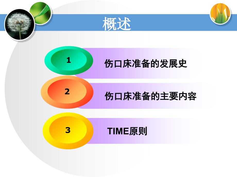伤口床的准备PPT课件.ppt_第2页