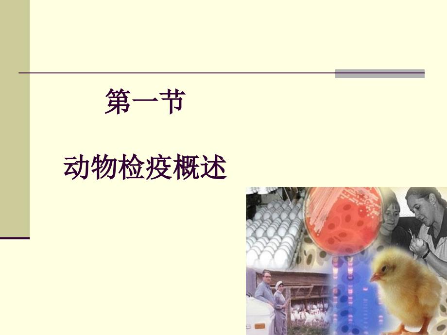 动物检疫监督PPT课件.ppt_第2页