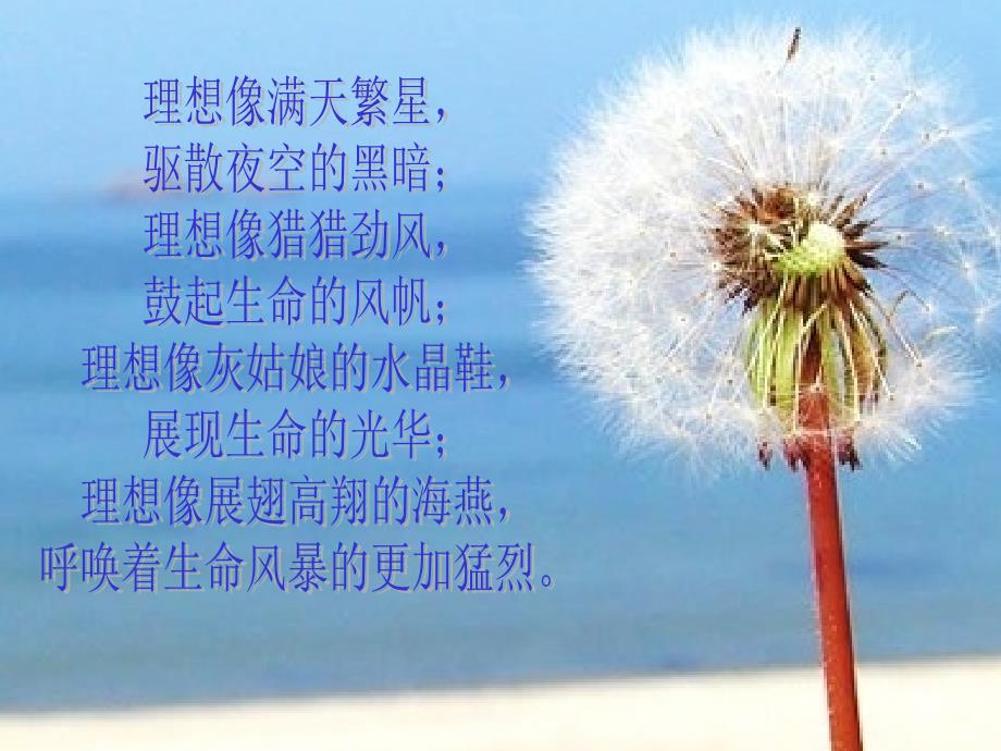 主题班会学习贵在坚持课件.ppt_第3页