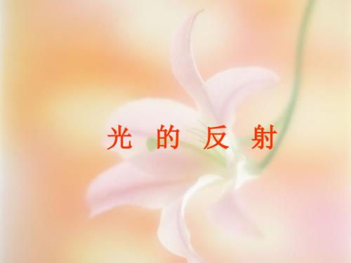 光的反射pptflash课件.ppt